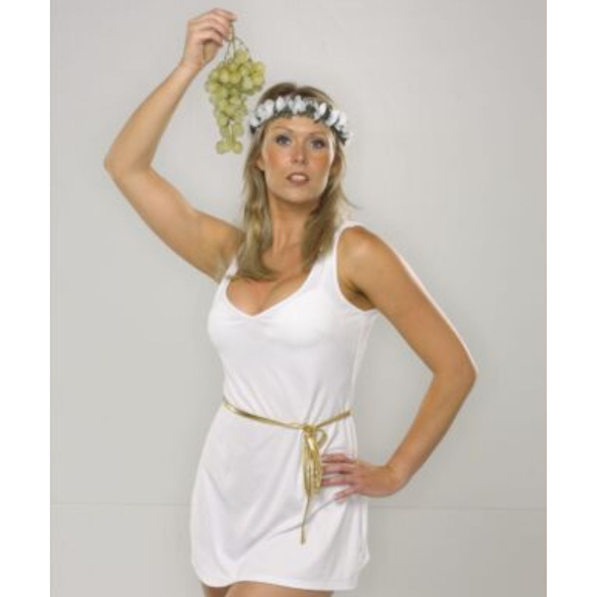 Ladies Roman Greek Grecian Goddess Fancy Dress Toga Costume Ancient Outfit New